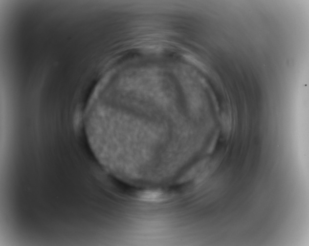 X0000088140574200706041339