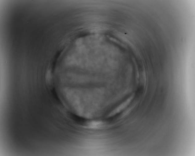 X0000088140575200706041339