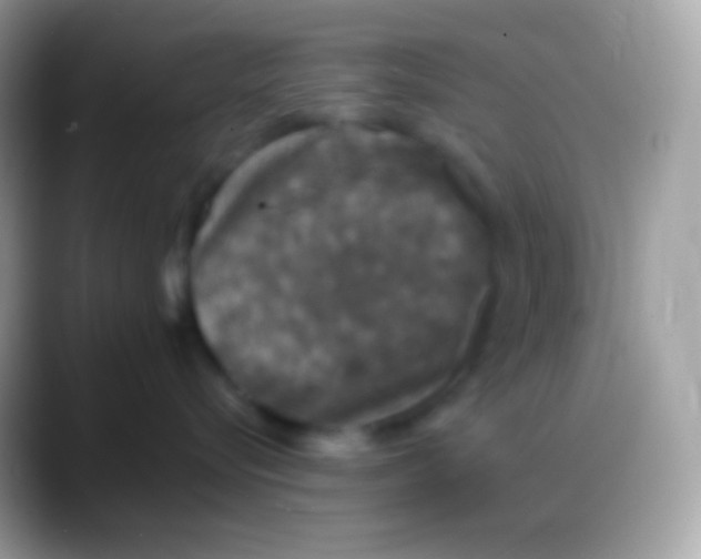 X0000088140576200706041339