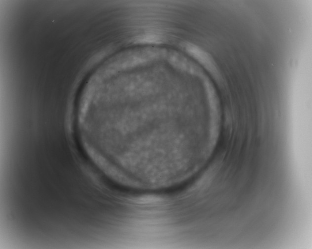 X0000088140578200706041338