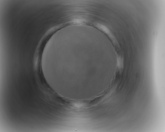 X0000088140579200706041338