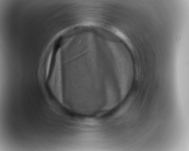 X0000088140580200706041338