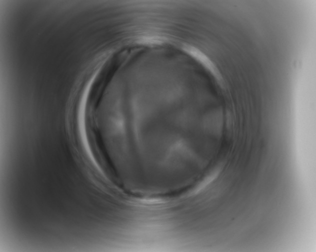 X0000088140581200706041338