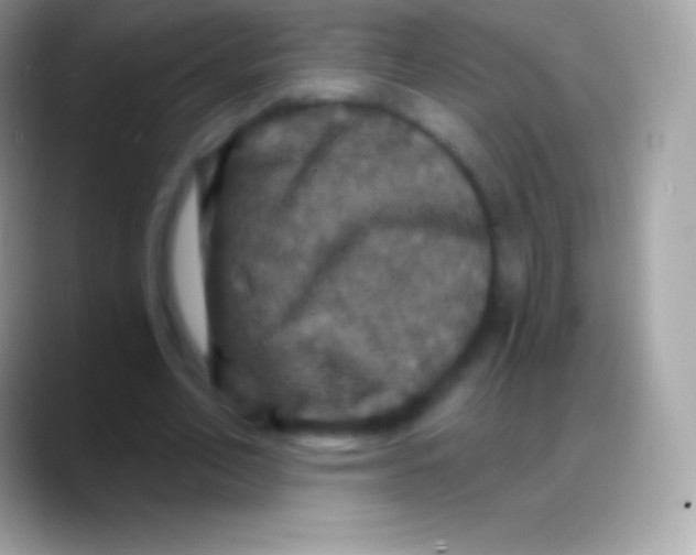 X0000088140582200706041338