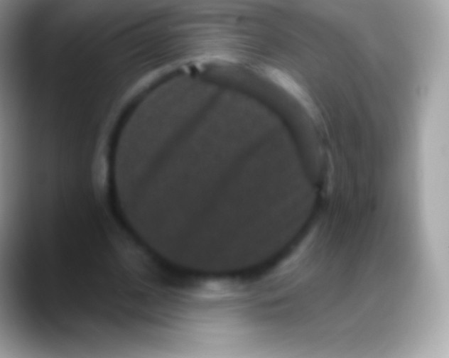 X0000088140584200706041338