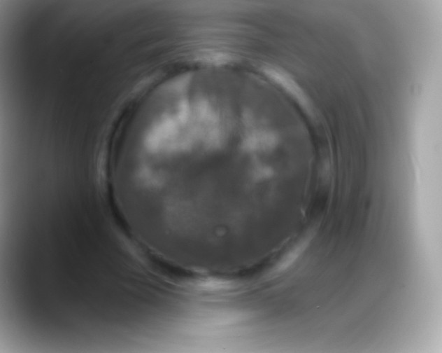 X0000088140585200706041338