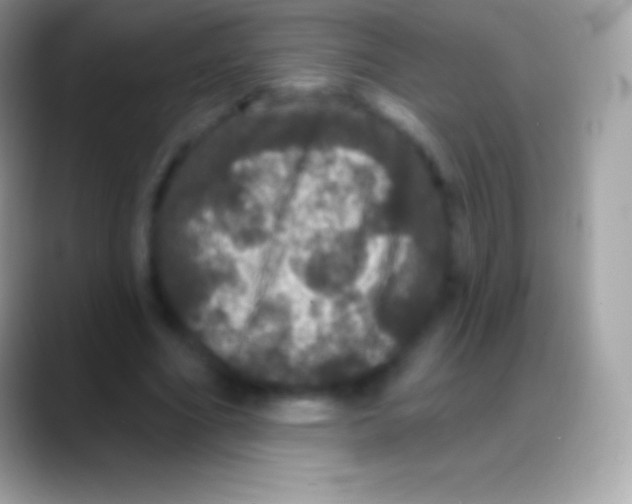 X0000088140586200706041338