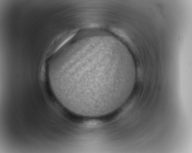 X0000088140587200706041338