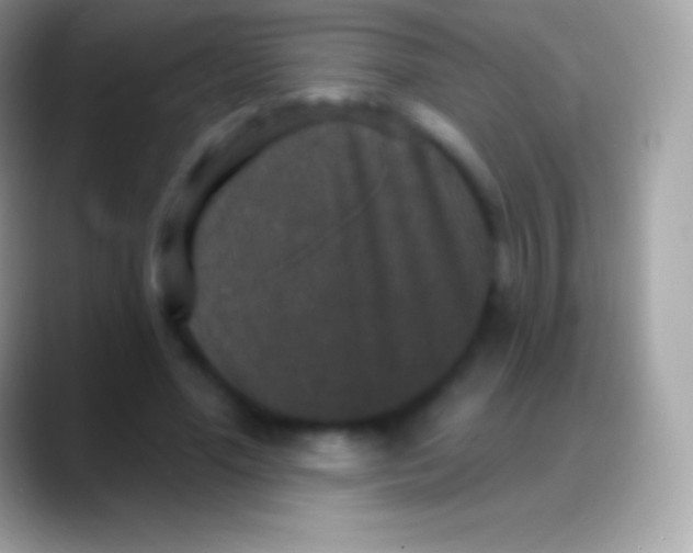 X0000088140588200706041338