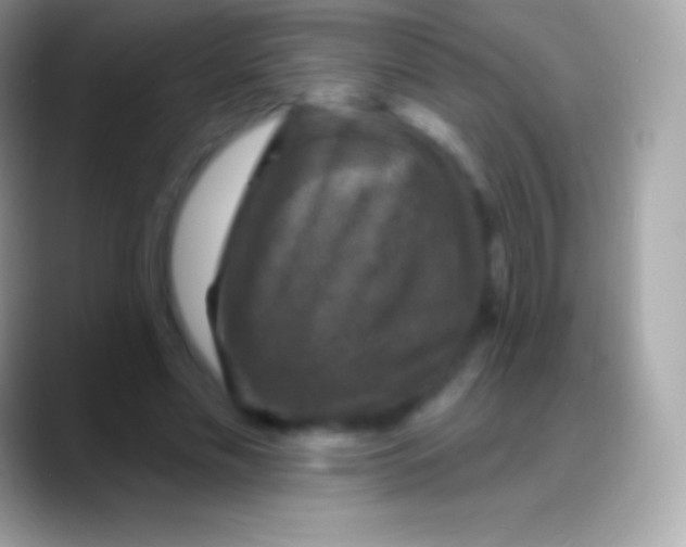 X0000088140589200706041338