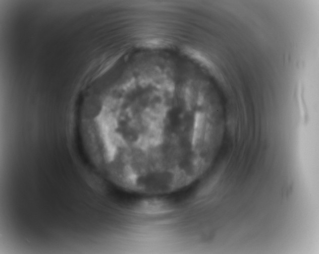 X0000088140591200706041338