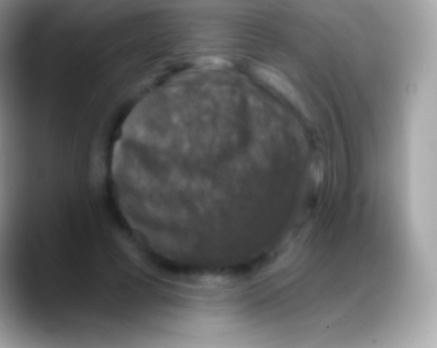 X0000088140593200706041338