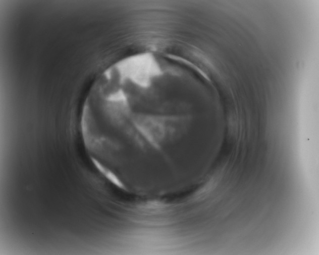 X0000088140594200706041338