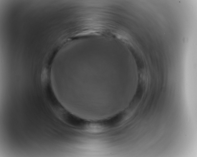 X0000088140598200706041338