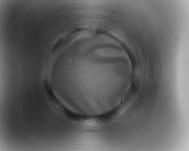 X0000088140600200706041338