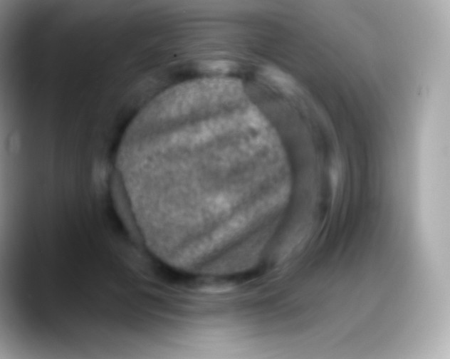 X0000088140601200706041338