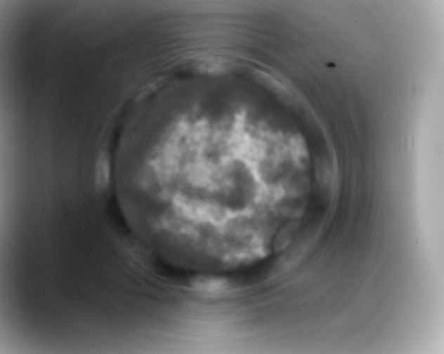 X0000088140602200706041338