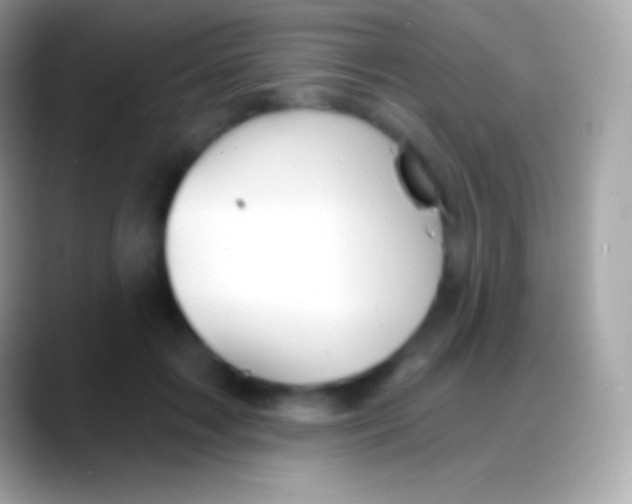 X0000088140603200706041338