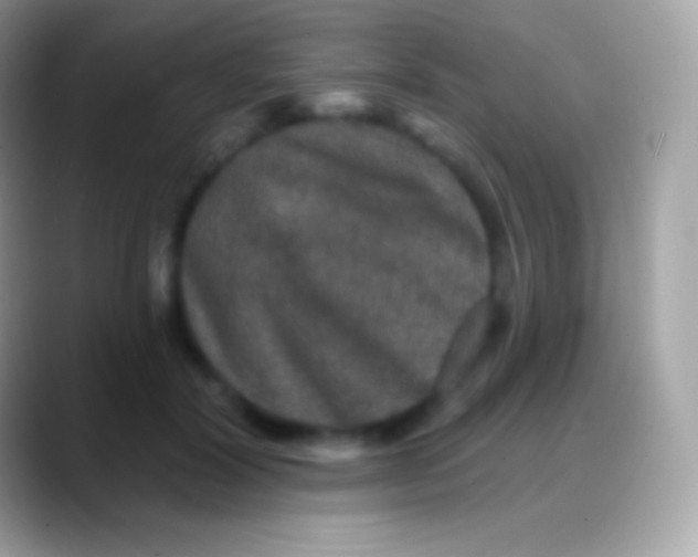 X0000088140604200706041338