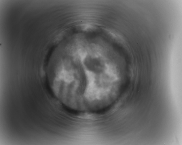 X0000088140607200706041338