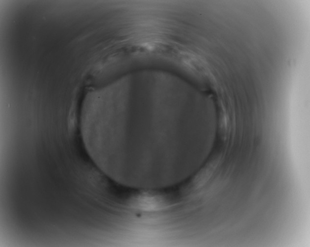 X0000088140608200706041338