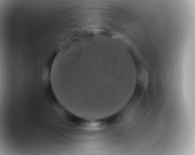 X0000088140610200706041338