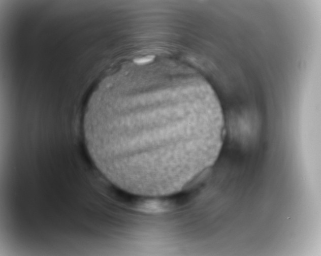 X0000088140611200706041338