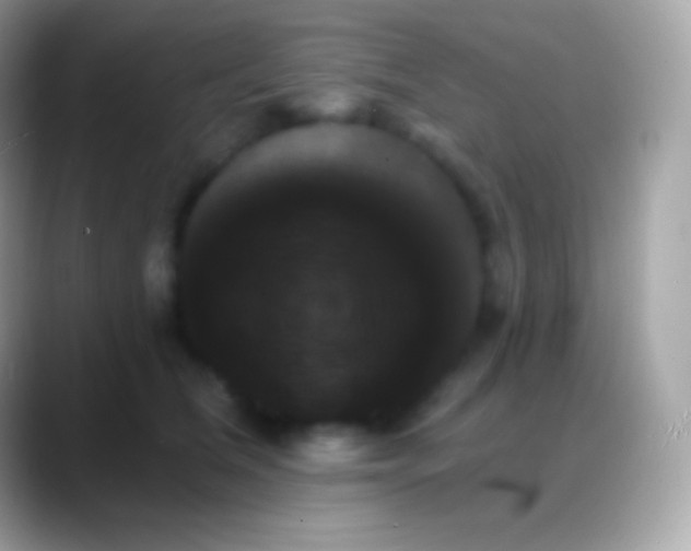 X0000088140612200706041338