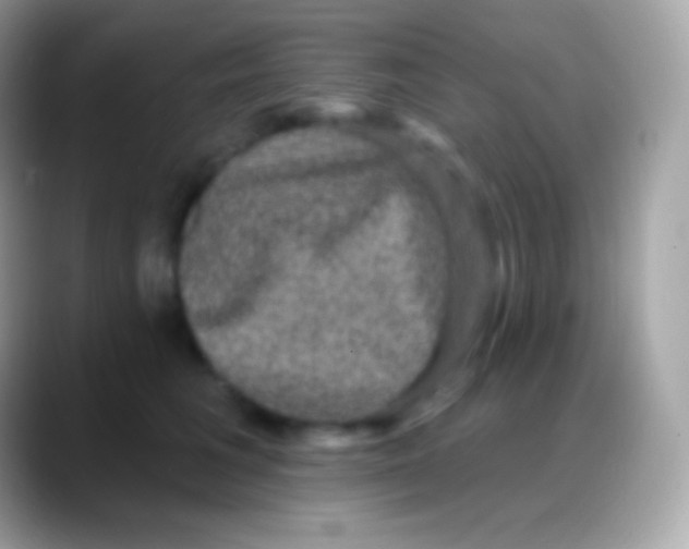 X0000088140613200706041338