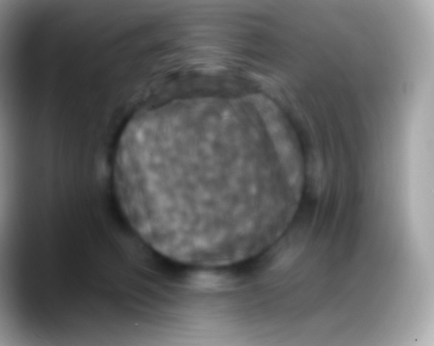 X0000088140614200706041338