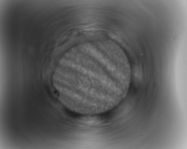 X0000088140615200706041338