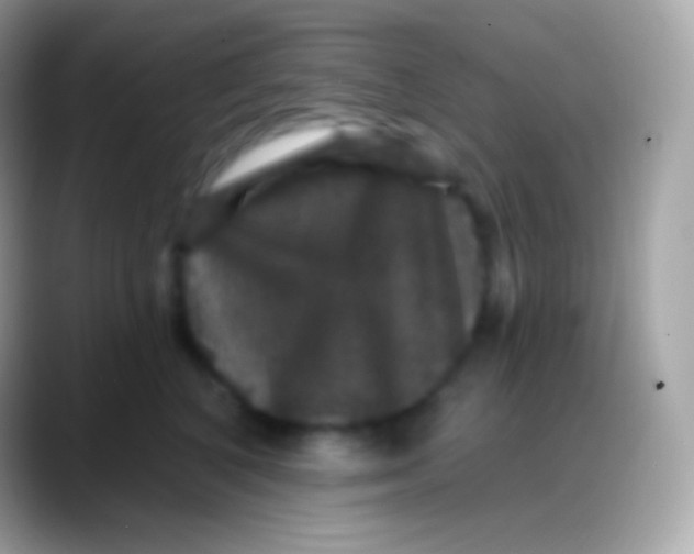 X0000088140616200706041338