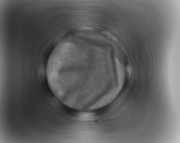 X0000088140617200706041338