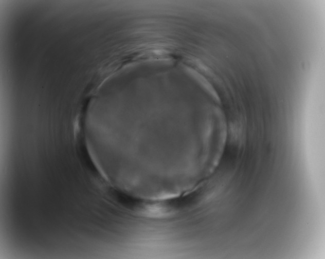 X0000088140618200706041338