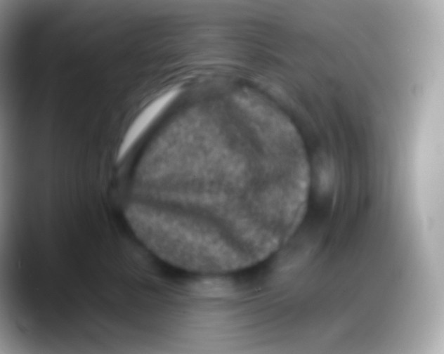 X0000088140619200706041338