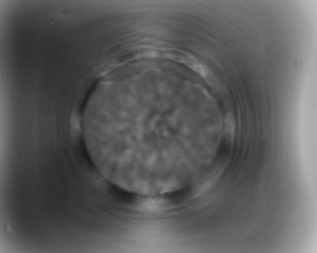 X0000088140621200706041338