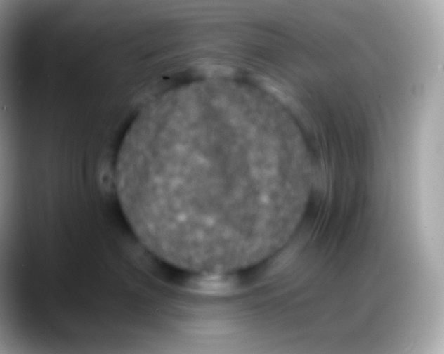 X0000088140622200706041338