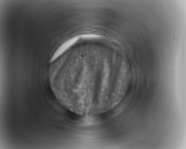 X0000088140623200706041338