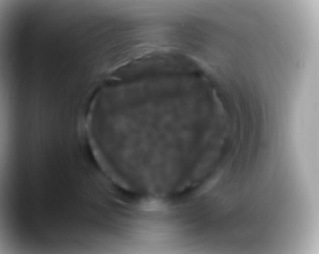 X0000088140624200706041338