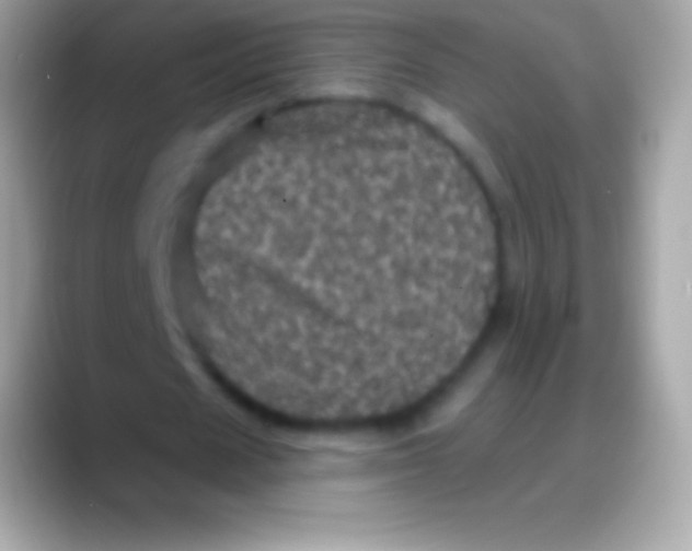 X0000088140625200706041337