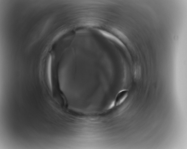 X0000088140627200706041337