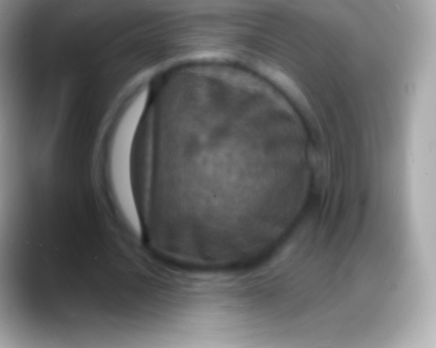 X0000088140628200706041337