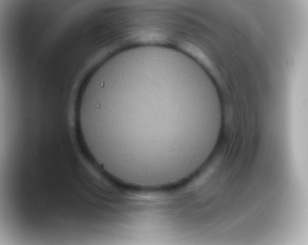 X0000088140629200706041337