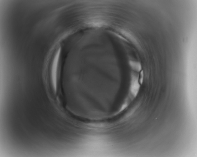 X0000088140630200706041337