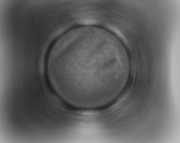 X0000088140631200706041337