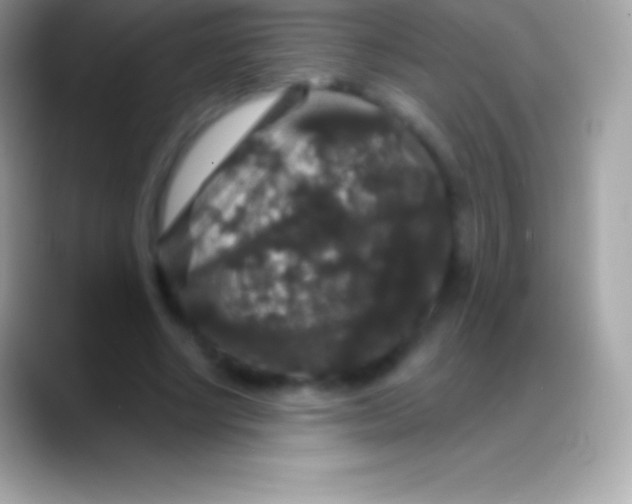 X0000088140634200706041337