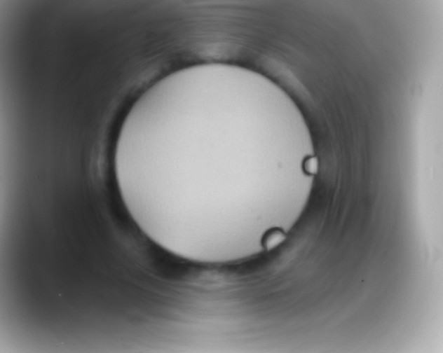 X0000088140635200706041337