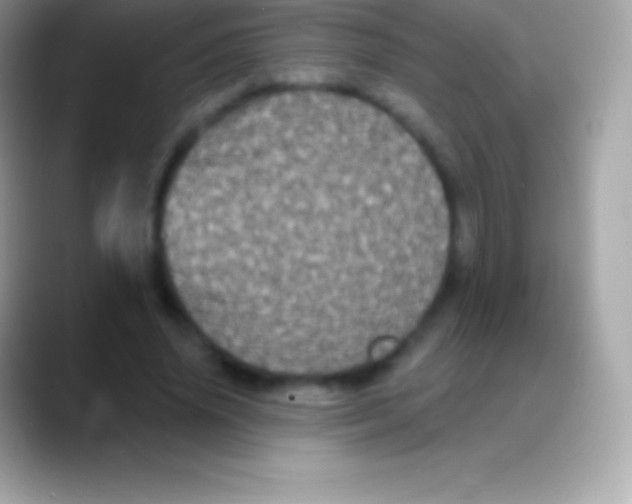 X0000088140636200706041337