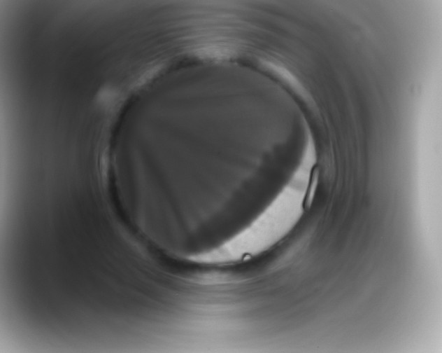 X0000088140637200706041337