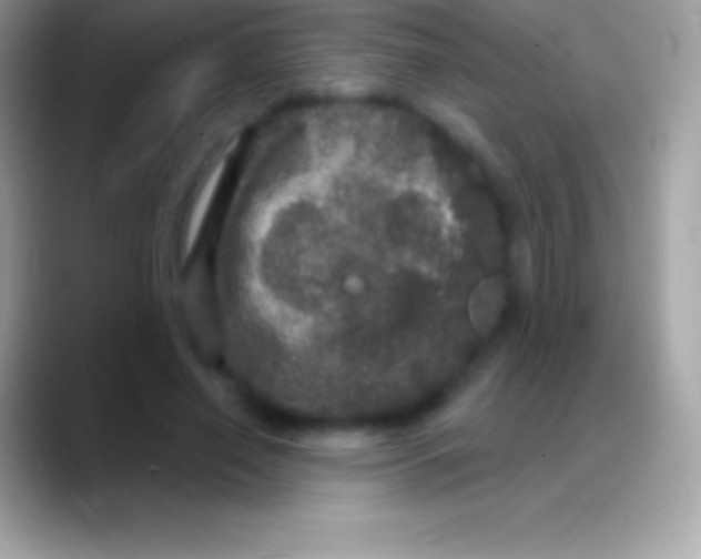 X0000088140638200706041338